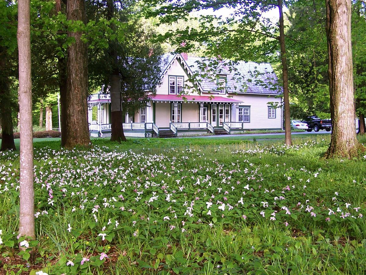 Dreamhouse Country Inn Bristol 외부 사진